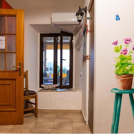 Mi Casa Es Tu Casa - Shkodra Backpackers Hostel מראה חיצוני תמונה